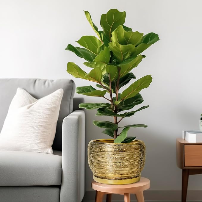 SQOWL Ceramic Planter for Indoor Plants - Image 2