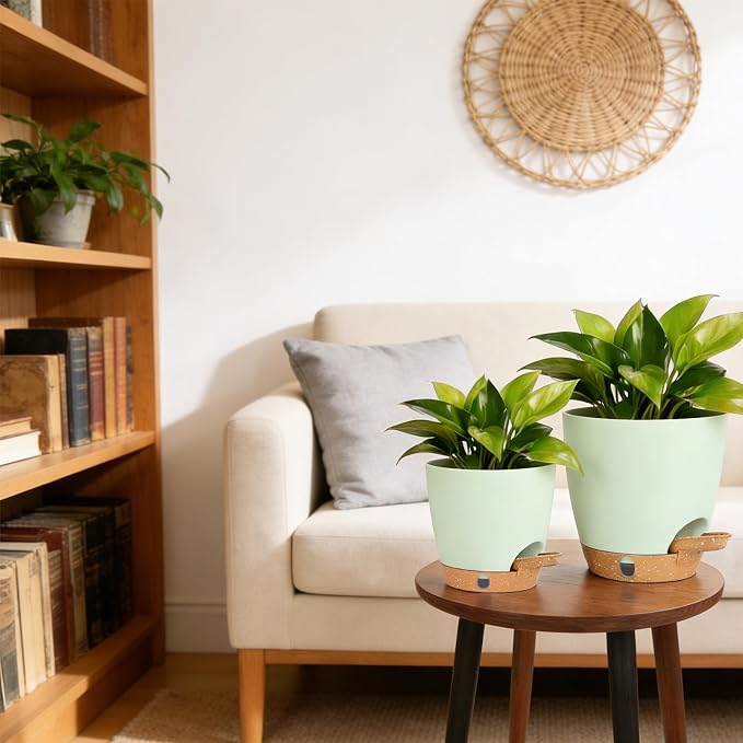 Self-Watering Plant Pots for Indoor Plants: 5/6 Inch Plastic Planter - Image 3