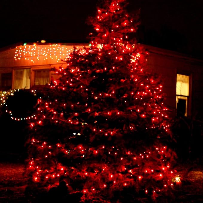 TW SHINE Valentine's Day Red Lights, 20FT 100 Count Incandescent Christmas Mini - Image 5