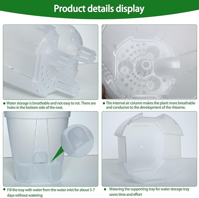 Cdd's Path 5-Pack 6 Inch Self Watering Naked Root Planter Pots - Image 3