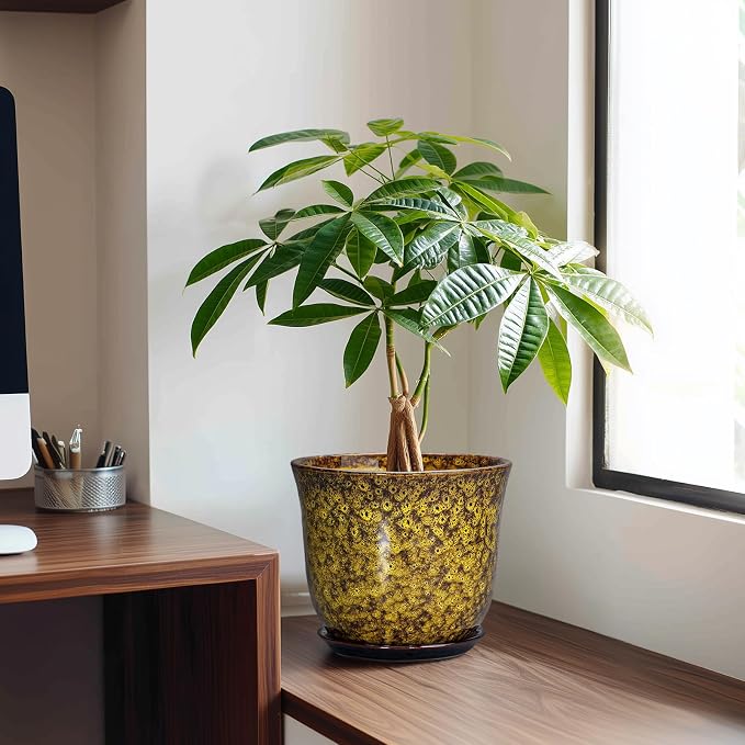 Ceramic Planter - Image 3