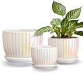 Ton Sin White Plant Pots, Pearl Gold Ceramic Flower Pots 4"+5"+6" Inch Indoor by TonSin