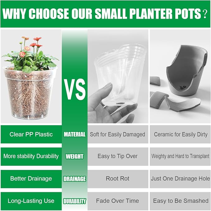 40 Pack 3.3 Inch Clear Nursery Pots - Image 4