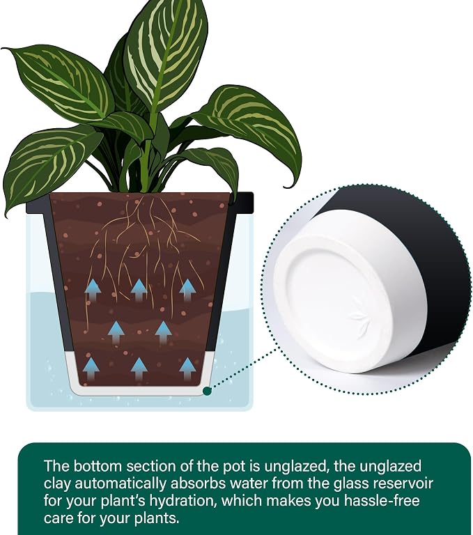 D'vine Dev 10 Inch Design Self Watering Planter - Image 6