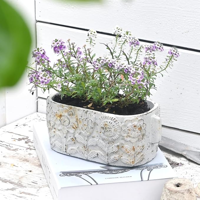 8 inch Pots Planters Indoor Plants Succulent Pots Rectangle Window Box Cactus by Unknown