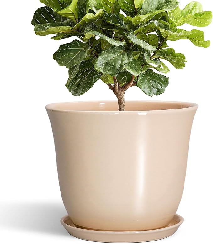 Ceramic Plant Pots by SUNPOTFOR