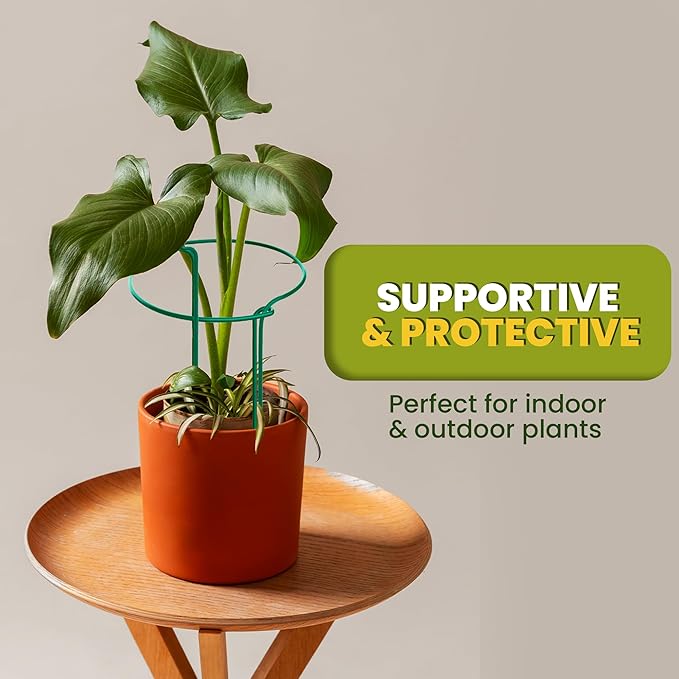6 Pack Plant Support Stakes – Tall Plant Stakes - Image 7