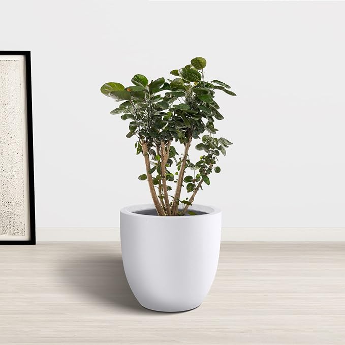 Kante 14 Inch Dia Round Concrete Planter, Indoor Outdoor Large Plant Pot - Image 9