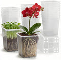 Nursery Pots 6 Inch 40 Pcs, Plastic Seed Starting Pot by BTPLASTIK