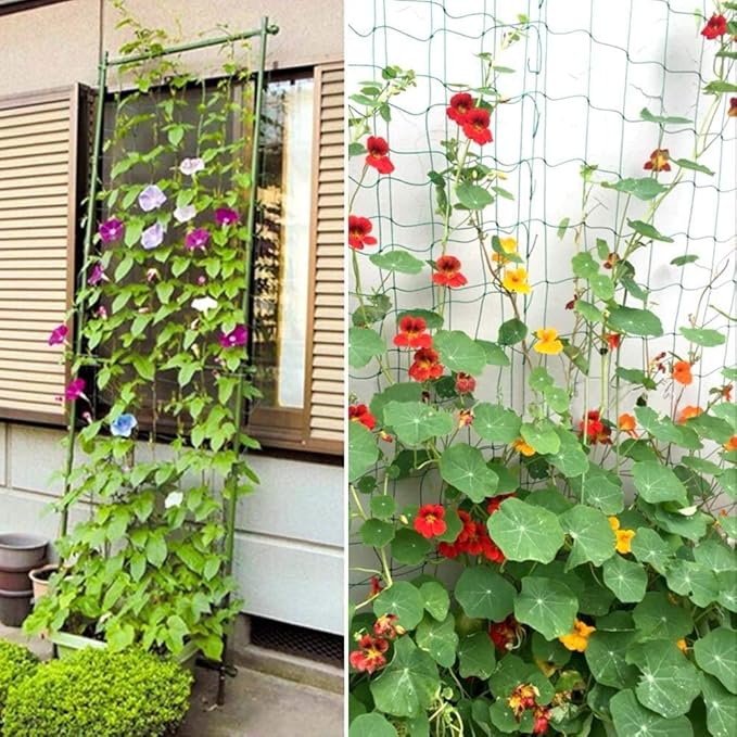 Pack of 2 Cucumber Tomato Trellis Netting, Heavy Duty Garden Netting Support - Image 5