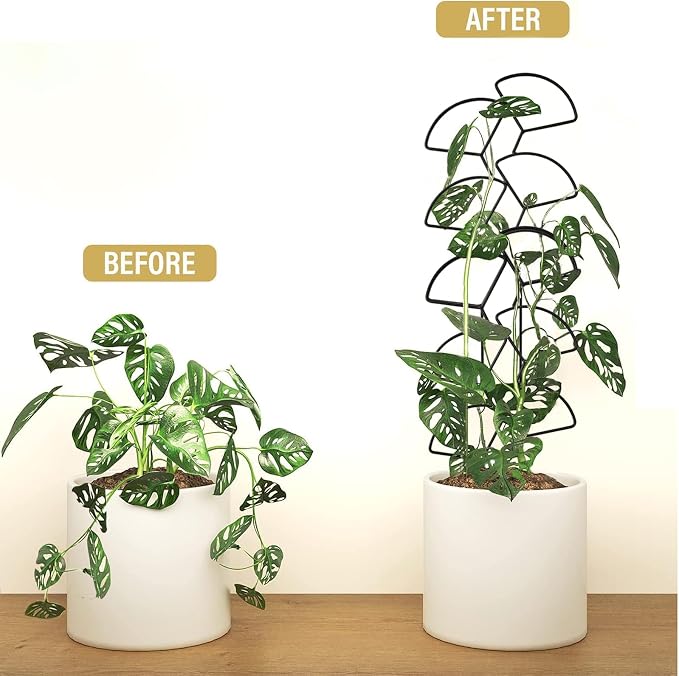Indoor Plant Trellis for Climbing Plants, 3 Pack Stackable Garden Trellis for - Image 6