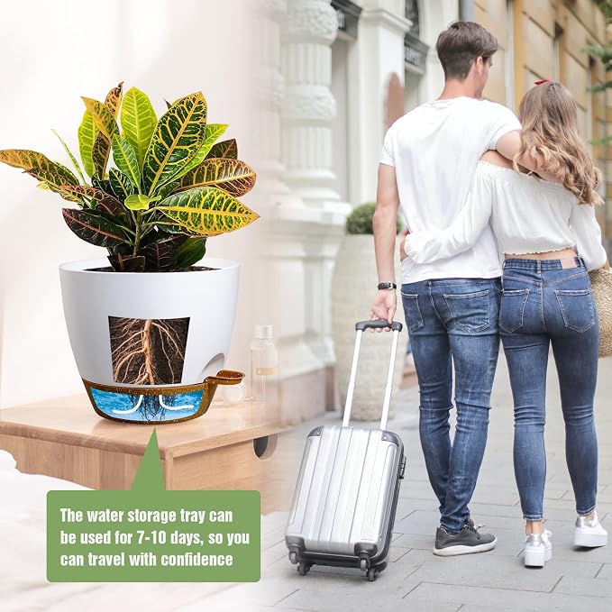 Large Self Watering Pots, 12/10/9 Plastic Planters - Image 6
