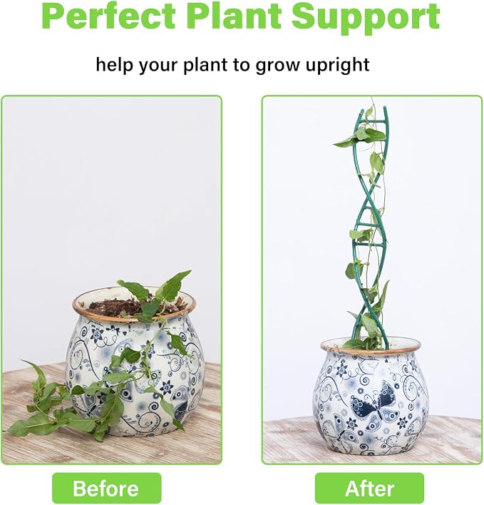 Indoor Plant Trellis - Image 3