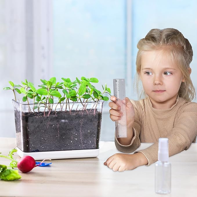 Self Watering Planters - Image 2