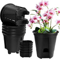 Cdd's Path 5-Pack 6 Inch Naked Root Planter Self Watering Pots Set by Unknown