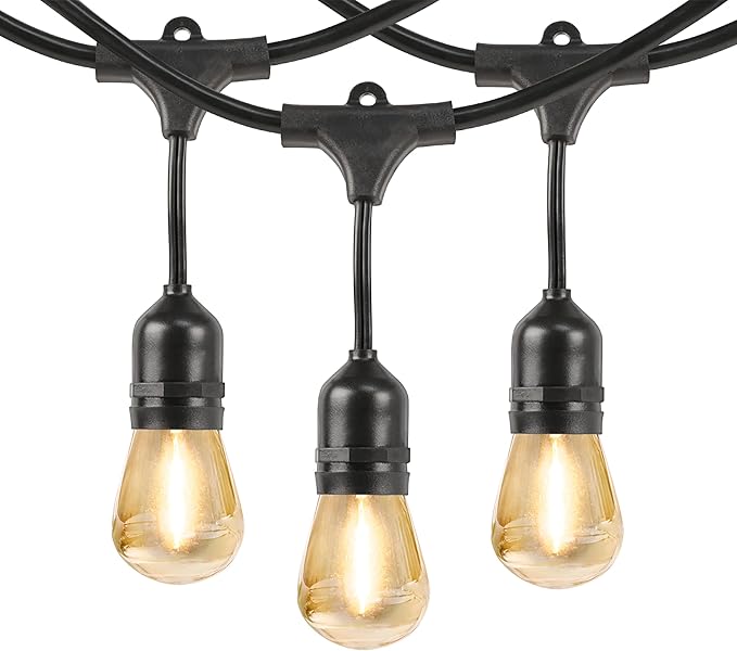 Feit Electric LED Solar Powered String Lights, Dusk-to-Dawn Sensor, 20ft by FeitElectricCompany
