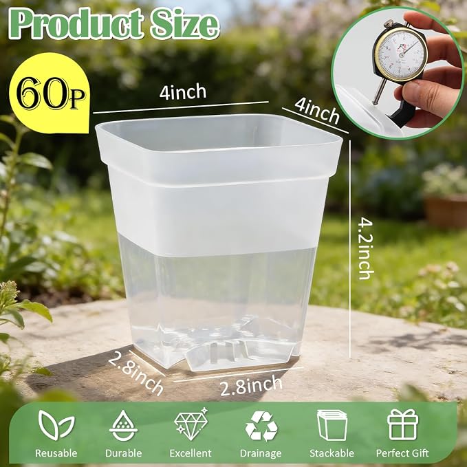 60 Pcs Clear Square Nursery Pots 4 Inch, Reusable Seedling Pots - Image 3