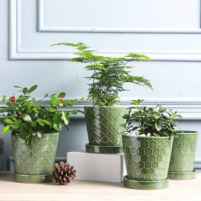 BUYMAX Plant Pots Indoor –5 inch Ceramic Flower Pot - Image 4