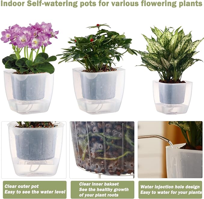 6-Pack 7 Inches Clear Self Watering Planters - Image 3