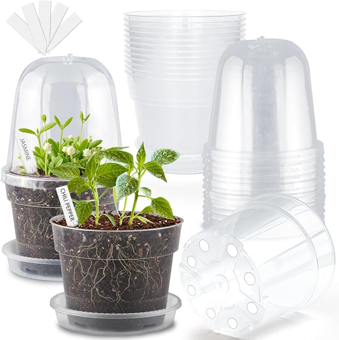 BTPLASTIK 6 Inch Clear Nursery Pots by BTPLASTIK