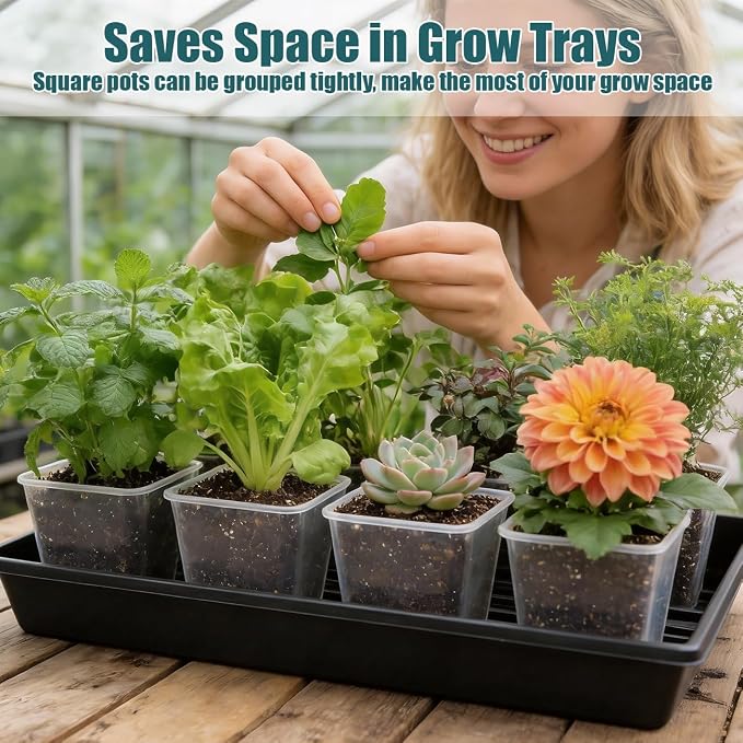 Nursery Pots 6 Inch 40 Pcs, Plastic Seed Starting Pot - Image 3