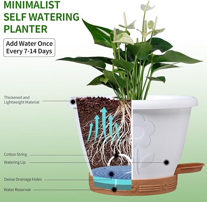 Plant Pots, Flower Pots for Indoor/Outdoor Plants, Self Watering Plastic - Image 2