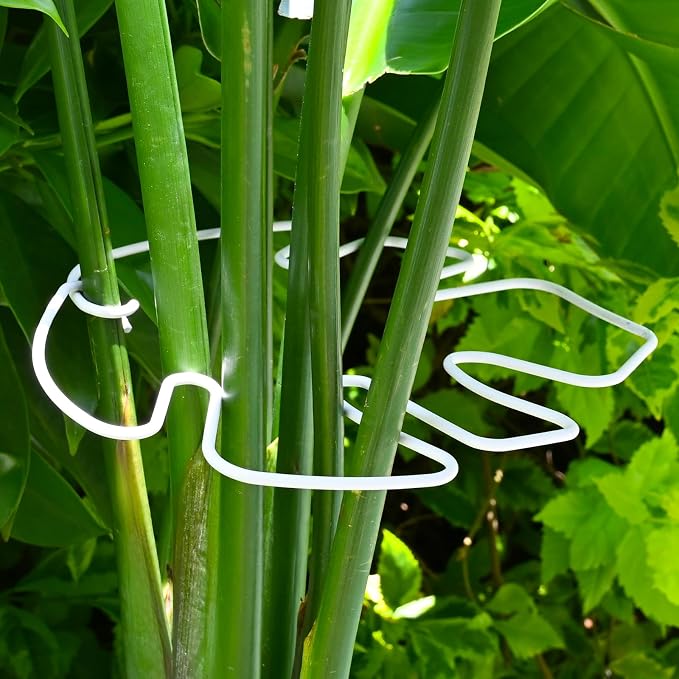 White Monstera Plant Stem Support - Image 7