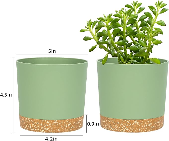 QCQHDU 5 inch Plant Pot, 2 Pack Planters - Image 2