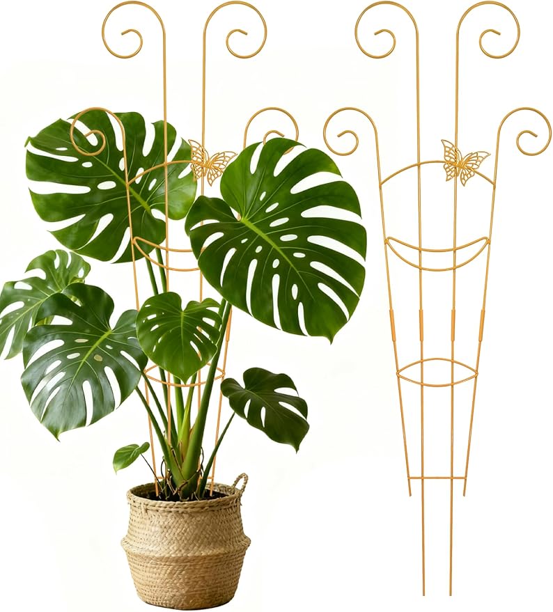 2 Pcs Tall Trellis for Potted Plants, Plant Pothos Climber Support for Monstera by Unknown