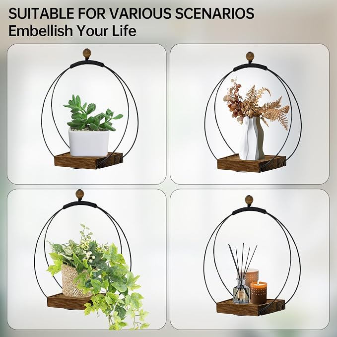 Hanging Planter for Indoor Plants - Image 2
