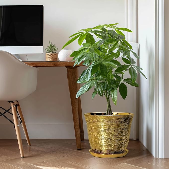 Ceramic Pots for Plants - Image 3