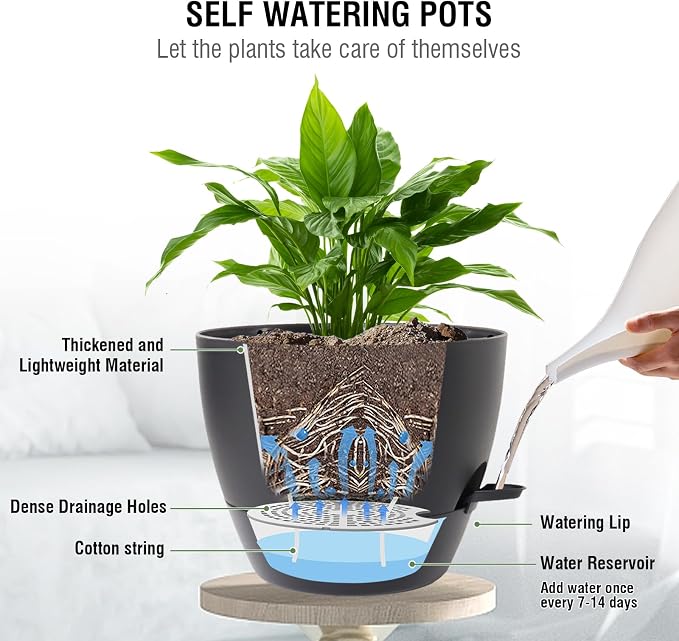 10 inch Self Watering Hanging Planters, 2 Pack Hanging Baskets - Image 2