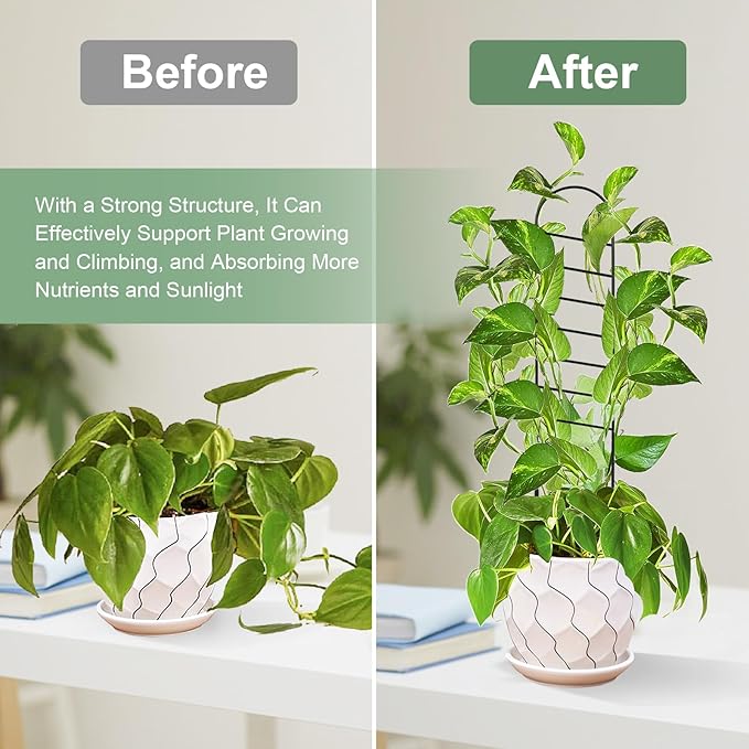 17.5 Inch Indoor Plant Trellis for Climbing Plants, Small Metal Garden Trellis - Image 3