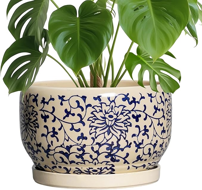 SQOWL 10 Inch Plant Pot Indoor by SQOWL