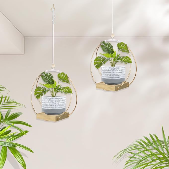 Hanging Planter for Indoor Plants, Plant Hanger - Image 5