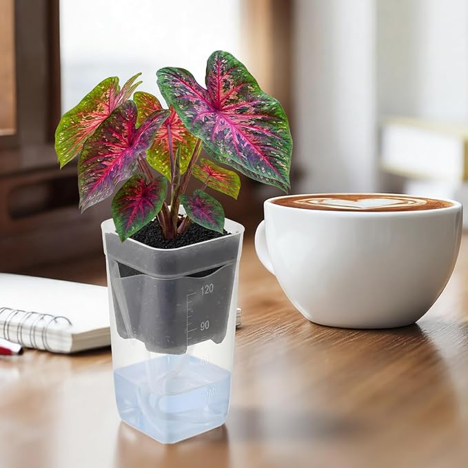 LemonRoad 20 Pack 2" Small Self Watering Pots - Image 7
