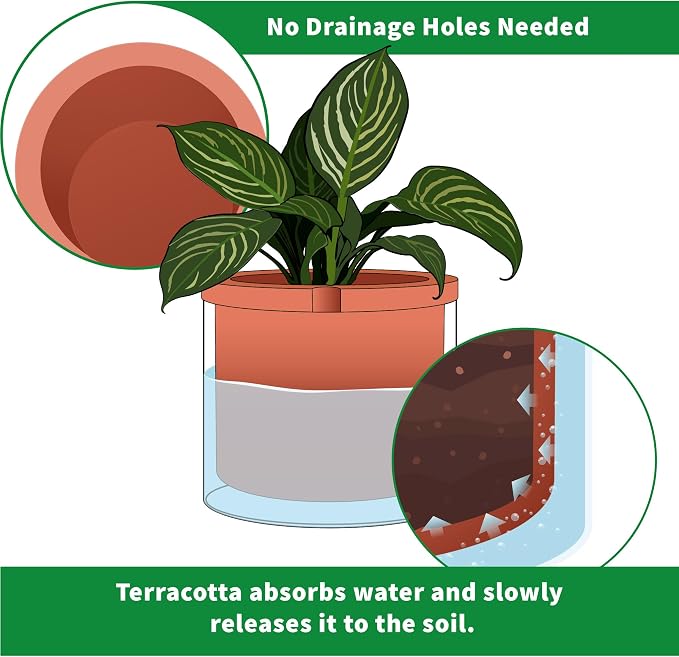 Phoenix Vine 8 Inch Self Watering Planter Pots, Design White Terracotta Pots - Image 5