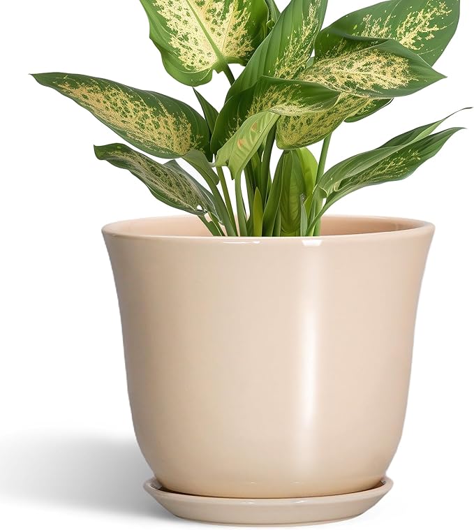 Ceramic Pots for Plants by SUNPOTFOR