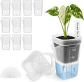 12 Pack 2" Mini Self Watering Pots by Vandorelle