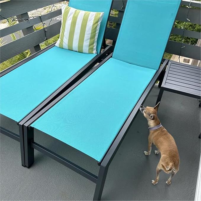 PURPLE LEAF Outdoor Patio Chaise Lounge Set 2 Pieces Pool Lounge Sunbathing - Image 3