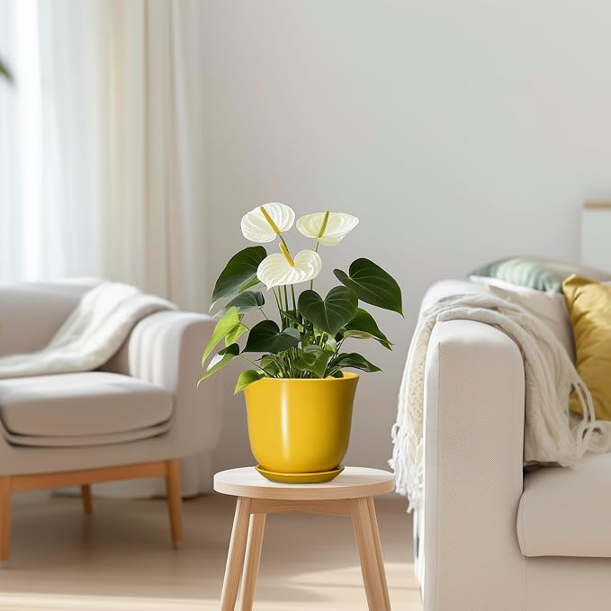 Ceramic Plant Pots - Image 7