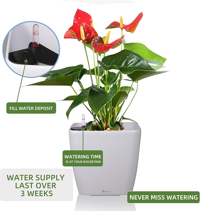 Dexceder 13x12 Self Watering Planter - Image 5