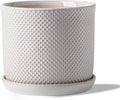 8 Inch Plant Pot: Ceramic Planter by Chubacoo