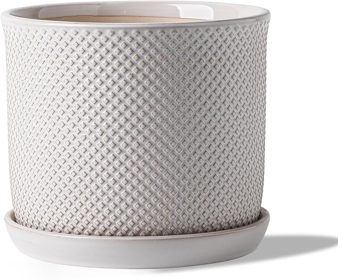 8 Inch Plant Pot: Ceramic Planter by Chubacoo