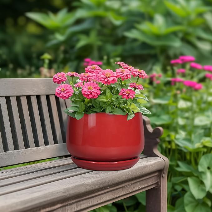 G EPGardening Ceramic Planter 7 Inch - Image 4