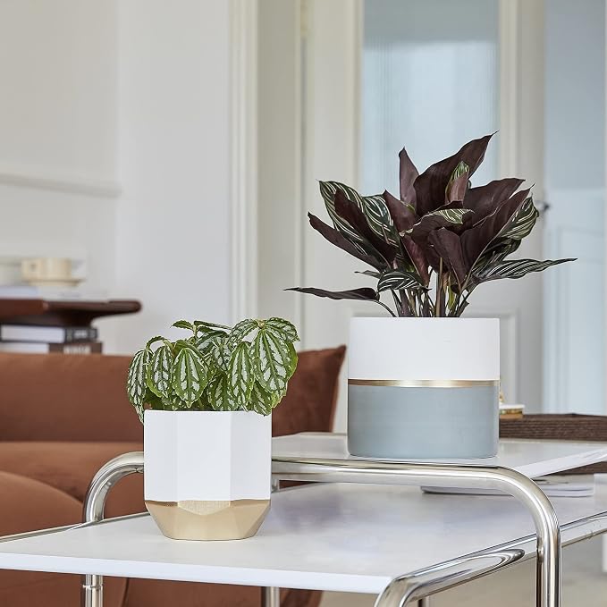 LA Jolie Muse White Ceramic Flower Pot Garden Planters 6.7 Inch Pack 2 Indoor - Image 3