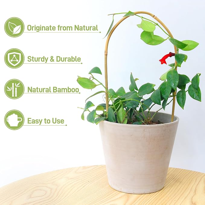 Avalution 16" Natural Bamboo Plants Trellis U-Hoop, Bamboo Gaeden Trellis - Image 4