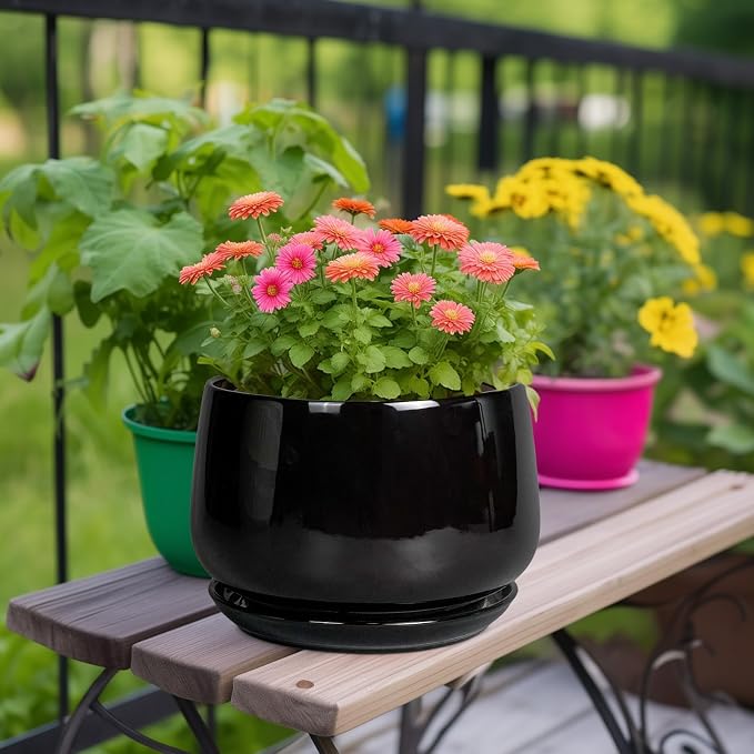 G EPGardening Ceramic Plant Pots - Image 2