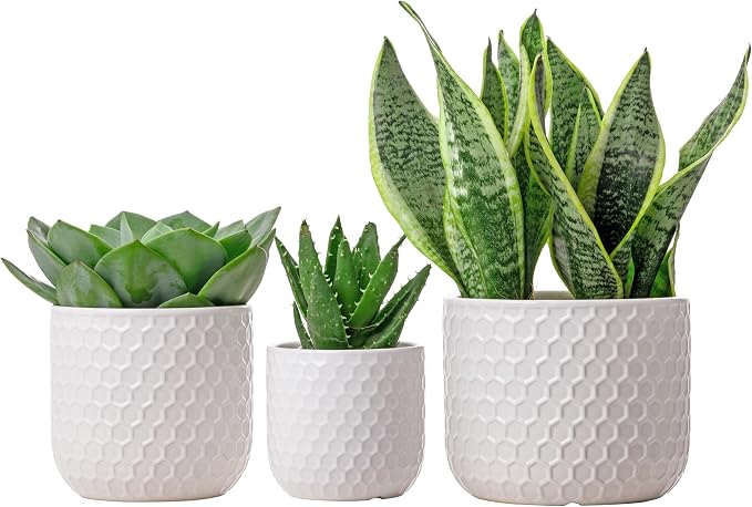 Docrin Plant Pots Indoor with Drainage: 6.4+5.3+4 Inch Ceramic Flower Pots - Image 9