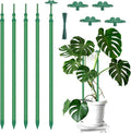 Extendable Plant Stakes, Length Scalable from 17.9IN to 42.3IN Plant Support by BOVITRO